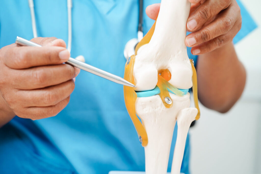 Doctor looking at model of joint